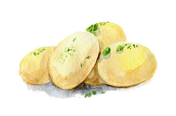 Boiled potatoes. Watercolor illustration. Isolated.