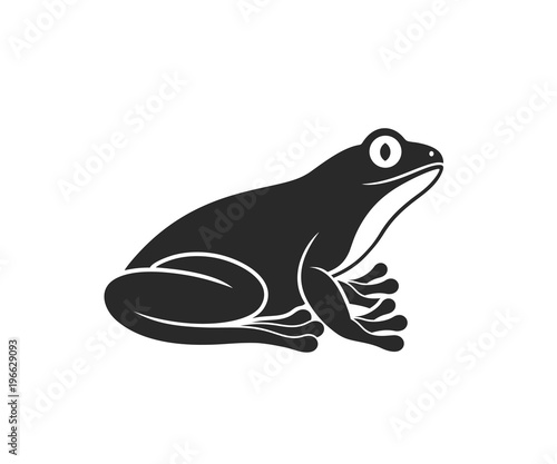 Photographie Red eye frog. Tree frog. Isolated frog on white background