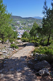 Fototapeta Natura - The journey into the valley to the historic Chefchaouen.