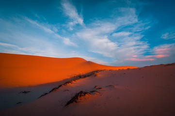 view of lonely sand dunes