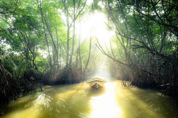 Wall Mural - Fantasy jungle landscape of tropical river and mangrove rain forest at sunny day. Boat sails through lit by sun tunnel in lush . Sri Lanka nature and travel destinations