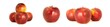 © Сергей Кучугурный - Variety of ripe red apples Ligol isolate white background. Procurement under inscription and illustration