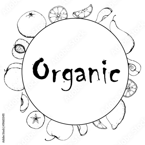 Black And White Banner Fruit Sketch Hand Drawing Simple Minimal