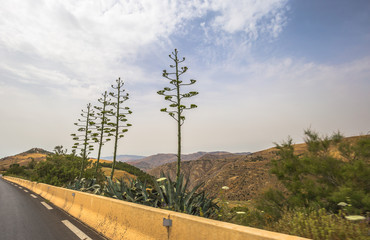 Algeria - June 09, 2017: Wild landscape of the countryside of Algeria