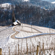 Famous Heart shaped wine road in Slovenia in winter, Heart form - Herzerl Strasse, vineyards in winter, Spicnik,Styria,Slovenia.