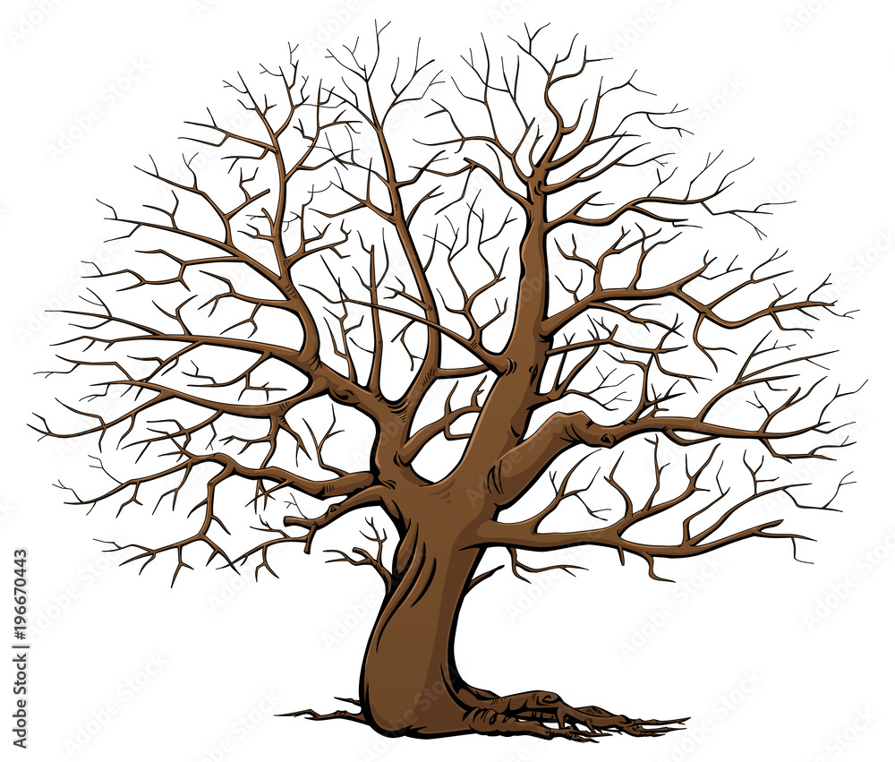 Tree without leaves. Dry wood. Cartoon style.