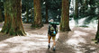 © BONNINSTUDIO/Stocksy - Hiker wearing backpack walking in the woods.