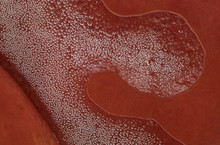 Abstract From Closeup Of Red Coloration And Bubbles