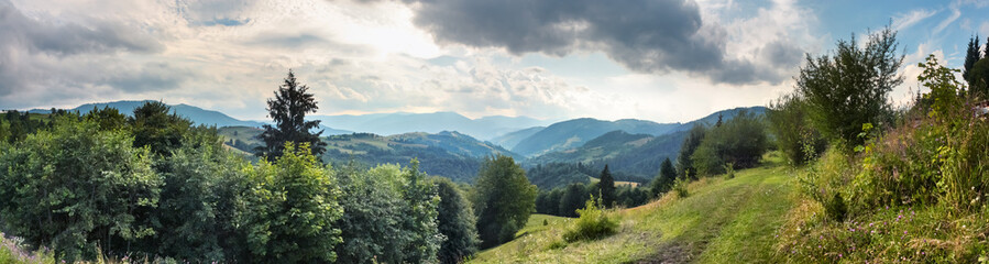 Wall Mural - Beautiful landscape, panorama, banner, with a view of the Ukrainian Carpathians, Western Ukraine.