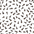 © Nika Novikova - Cloves Seeds Seamless Endless Pattern. Seasonal Food Background. Spice and Flavor Mulled Wine Cocktail Ingredient. Cooking or Aromatherapy. Hand Drawn Illustration. Savoyar Doodle Style.