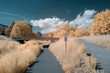 © Robert Kohlhuber/Stocksy - Infrared IR landscape