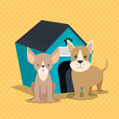 Canvas Print - cute dogs with wooden house