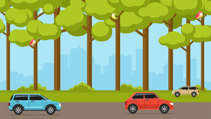 Suburban forest in the background of city with cars. Street with cars.