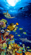 colorful wide underwater coral reef 16to9 vertical background smartphone wallpaper with many fishes turtle and marine life / Unterwasser Korallenriff Hintergrund vertikal hochformat 16zu9