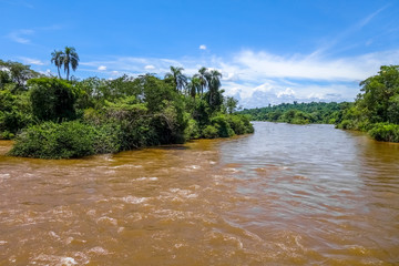 Parana river at iguazu falls