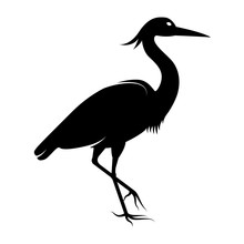 Vector Image Of The Silhouette Of The Birds Of The Heron