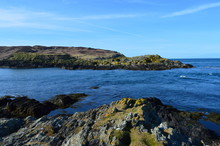 Seals At The Isle Of Man