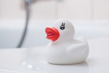 closeup of white rubber duck toy on bath