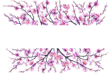 Banner with cherry branch pink flowers. Japan sakura blossom. For decoration, greeting card, invitation. Watercolor hand drawn painting illustration isolated on a white background.