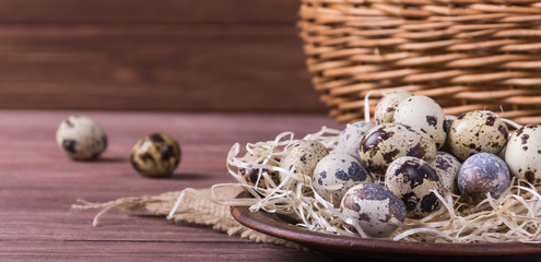 Quail eggs in the basket