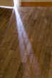 Mysterious rays of light passing through the crack of a partly opened door on wooden floor.