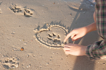 Dog footprind on wet sand and heart around it 