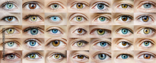 Plakat Eyes are many