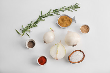 Canvas Print - Composition with fresh onion and spices on white background