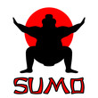 © julimur - Japanese Sumo Wrestler
