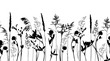 Seamless horisontal border with wild herbs and flowers silhouettes isolated on white.
