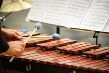 Xylophone, Marimba Or Mallet Player With Sticks,