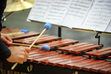 Xylophone, Marimba Or Mallet Player With Sticks,