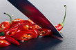 © Igor Normann - Knife and red chilli pepper