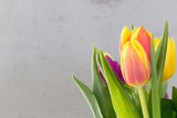 Fototapeta Tulipany - Spring tulips easter background with empty copy space
