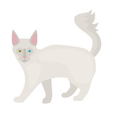 Fototapeta Dinusie - Cat flat color icon