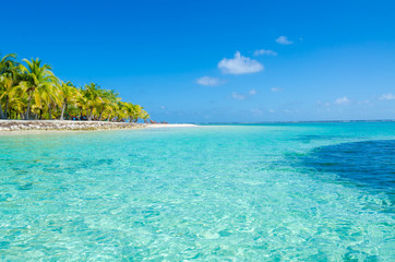 Wall Mural - Belize Cayes - Small tropical island at Barrier Reef with paradise beach - known for diving, snorkeling and relaxing vacations - Caribbean Sea, Belize, Central America