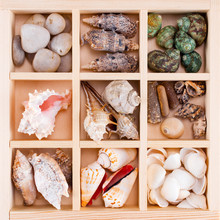 Many Various Shells And Stones In The Wooden Box