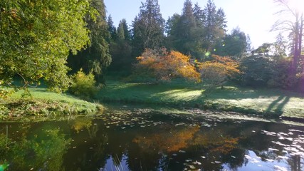 Wall Mural - amazing lake with sun rays in the autumn park. nature video. park landscape. washington park arboret