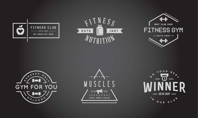 Set of Raster Fitness Aerobics Gym Elements and Fitness Icons Illustration can be used as Logo or Icon in premium quality