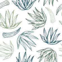 Hand Drawn Vector Seamless Pattern. Aloe Vera. Herbal Background In Sketch Style. Perfect For Cosmetics Labels, Invitations, Cards, Leaflets Etc