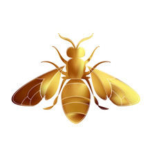 Golden Honey Bee Uterus On White Background.