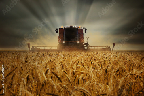 Stampa su Tela  Mähdrescher im Kornfeld