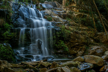 Canvas Print - Sever do Vouga, Portugal	