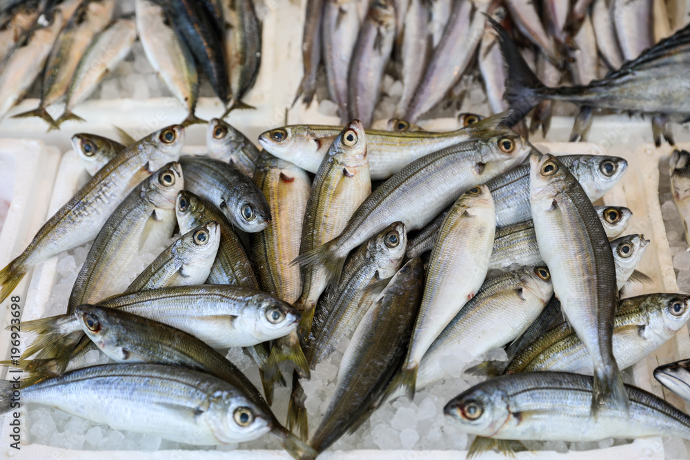 Freshly caught bogue or Boops boops, gopa fishes in the box on the ...