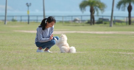 Poster - Woman playing with her dog in the park