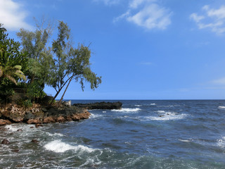 Wall Mural - Beautiful tropical Hawaiian coastline