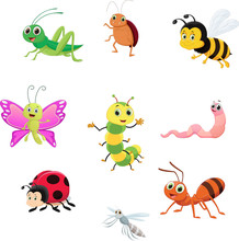 Cute Insect Collection Set