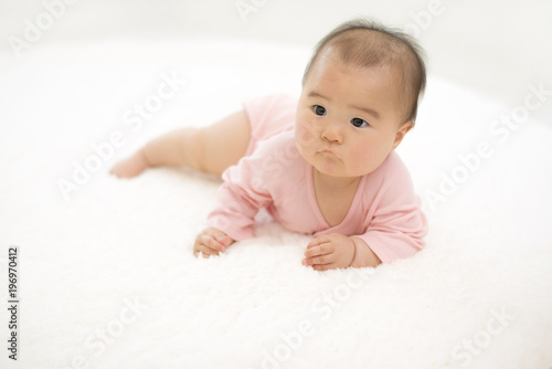 四つん這いする赤ちゃん Buy This Stock Photo And Explore Similar Images At Adobe Stock Adobe Stock 四つん這いする赤ちゃん Buy This Stock Photo And Explore Similar Images At Adobe Stock Adobe Stock