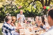 © Halfpoint - Family celebration or a garden party outside in the backyard.