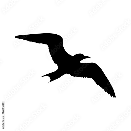 Icono Plano Silueta Gaviota En Color Negro Buy This Stock Vector And Explore Similar Vectors At Adobe Stock Adobe Stock